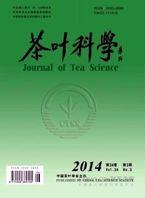 茶叶科学杂志