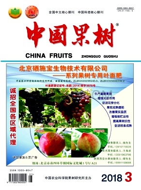 中国果树杂志