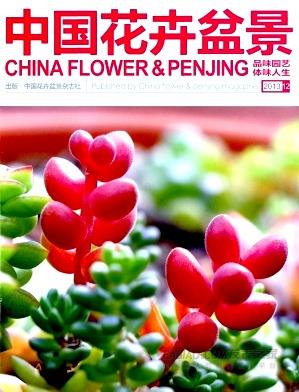 中国花卉盆景杂志