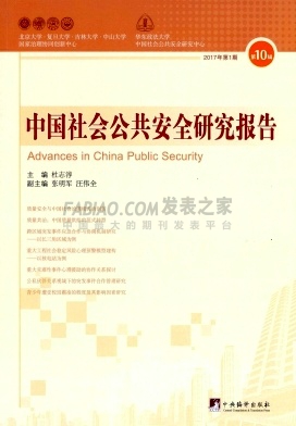 中国社会公共安全研究报告